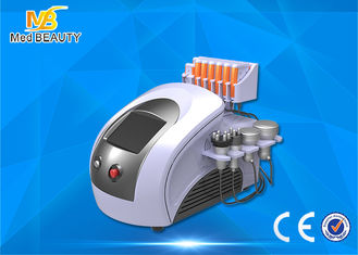 China Equipamento ultra-sônico do emagrecimento do laser de Lipo da máquina do emagrecimento do vácuo da tela de toque de 8 polegadas fornecedor