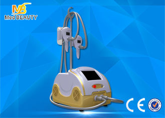 China Cryo Fat Dissolved Weight Loss Coolsculpting Cryolipolysis Machine fornecedor