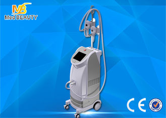 China Best seller vertical fat freezing cryolipolisis coolsculpting cryolipolysis machine fornecedor